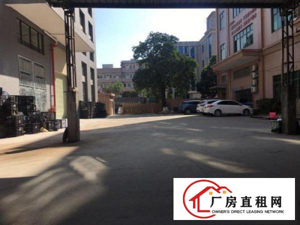  大朗洋乌杨涌原房东1500平方厂房出租可办环评