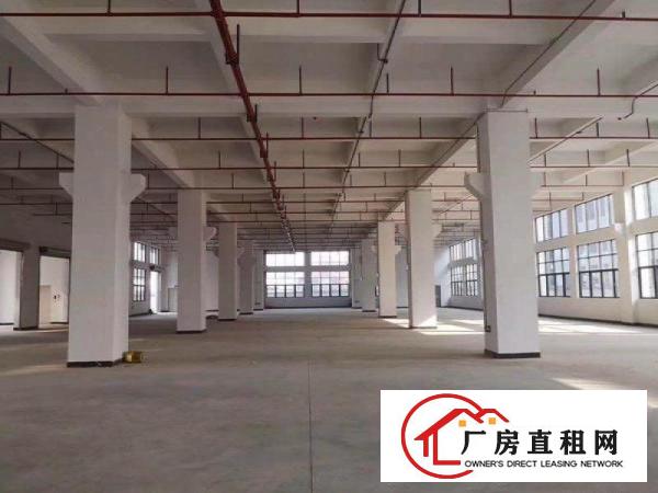  大朗洋乌杨涌原房东1500平方厂房出租可办环评