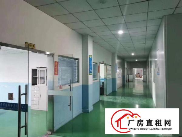  大朗工业园带精装修标准厂房分租一楼楼上1000平现成水电办室