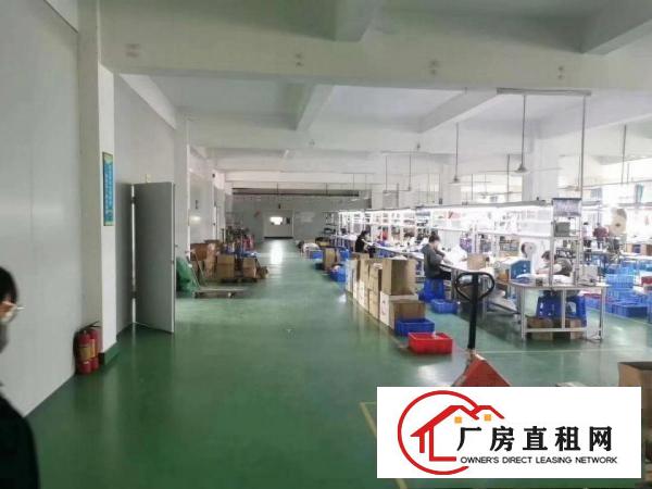  大朗工业园带精装修标准厂房分租一楼楼上1000平现成水电办室