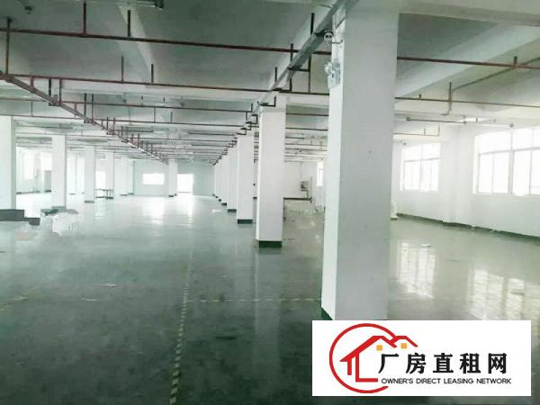  大朗镇新马莲公园附近独门独院3800平方带装修可办环评