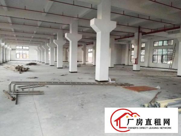  大朗九成新花式厂房，实际面积10500平