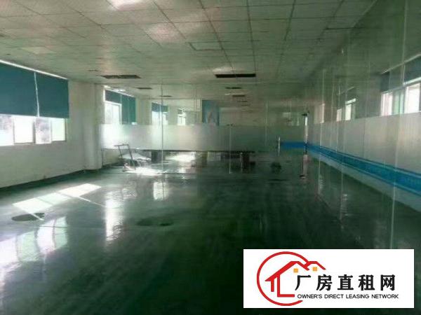  精装修办公，大朗科技园二楼1300方价格便宜