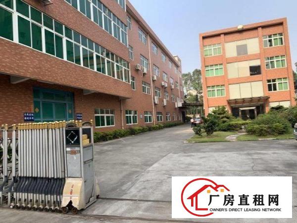  大朗洋坑塘工业区一楼厂房600到1200平出租。价格优惠