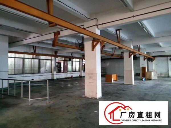  大朗洋坑塘工业区一楼厂房600到1200平出租。价格优惠