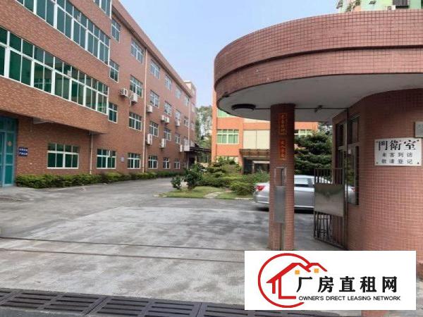  大朗洋坑塘工业区一楼厂房600到1200平出租。价格优惠