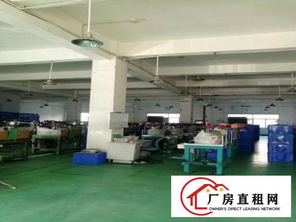  大朗洋坑塘工业区一楼厂房600到1200平出租。价格优惠