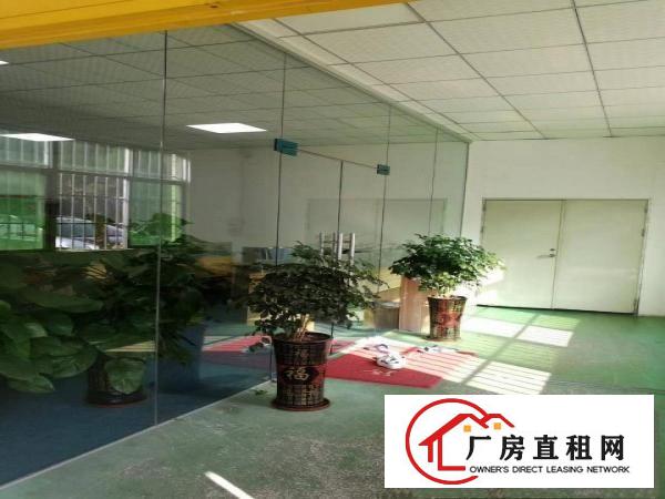  大朗洋坑塘工业区一楼厂房600到1200平出租。价格优惠