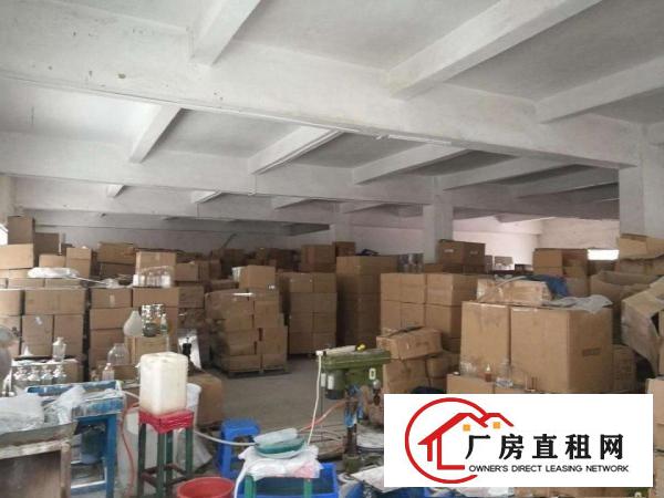  水电齐全可分租，大朗沙步村新出标准厂房一二楼，每层500方