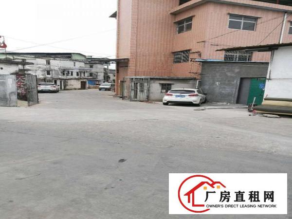  水电齐全可分租，大朗沙步村新出标准厂房一二楼，每层500方