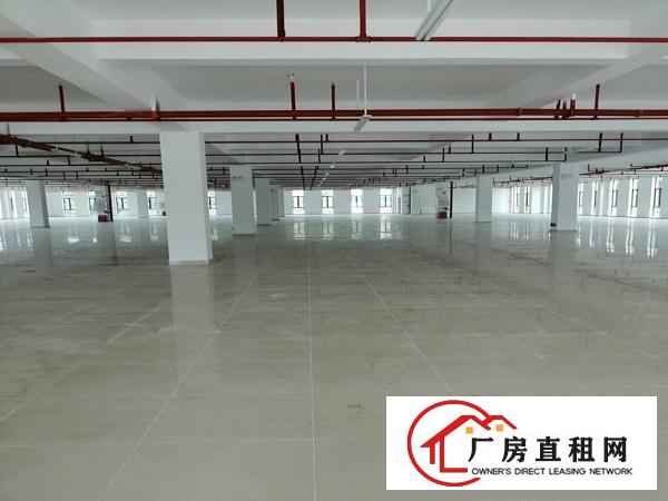 大朗镇中心7000平方欧式装修独院厂房可做幼儿园工厂