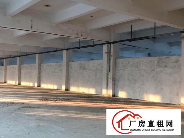  大朗犀牛陂工业区独院标准电梯厂房可分租3000平方