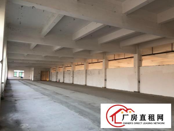  大朗犀牛陂工业区独院标准电梯厂房可分租3000平方