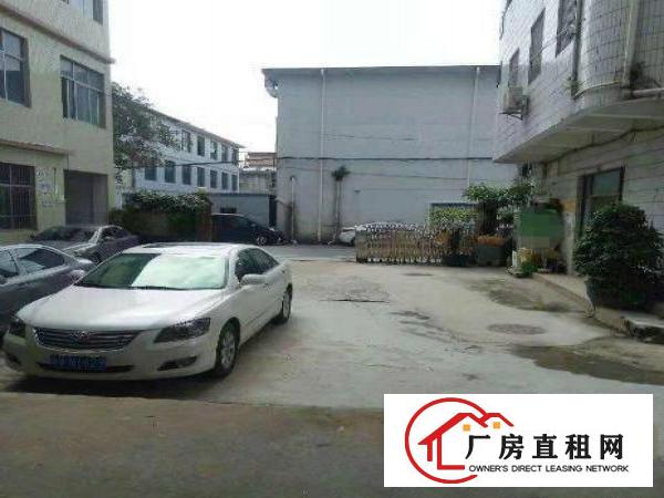  大朗新马莲出租厂房实际面积200平，现成装修，办公设备完善