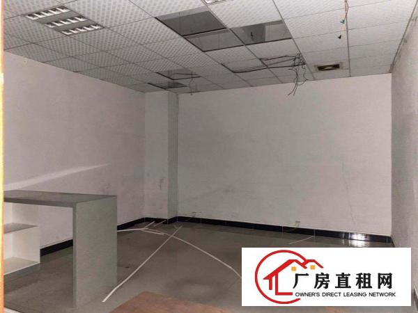  出租大朗松柏朗一楼厂房1150平带精装办公室可办环评易招工