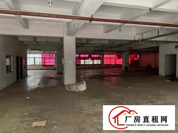  出租大朗松柏朗一楼厂房1150平带精装办公室可办环评易招工