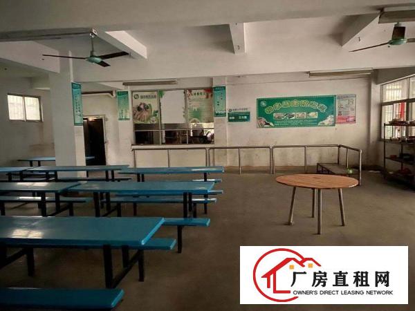  出租大朗松柏朗一楼厂房1150平带精装办公室可办环评易招工