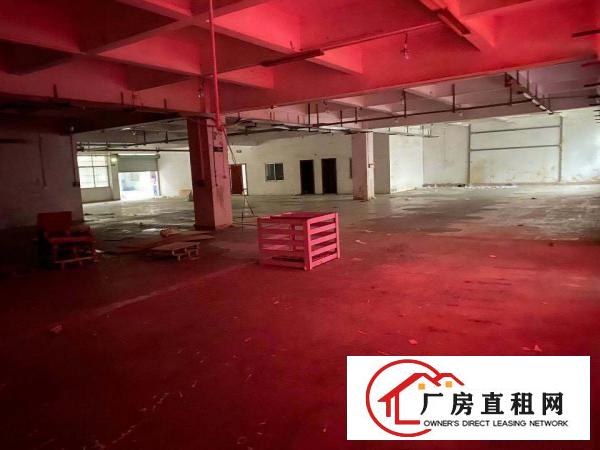  出租大朗松柏朗一楼厂房1150平带精装办公室可办环评易招工