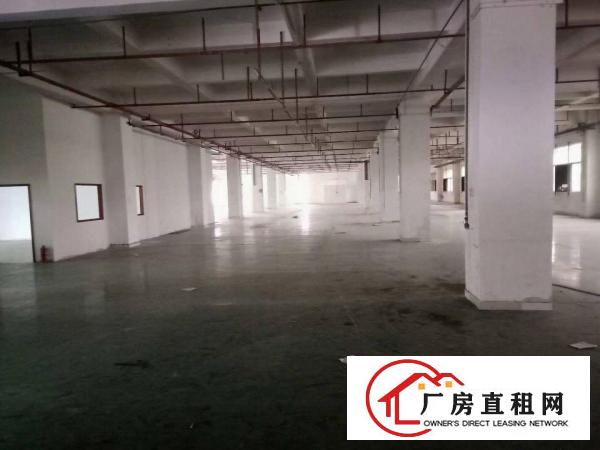  大朗高速出口处9成新独门独院12500平方厂房。