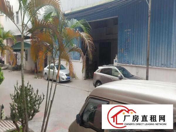  大朗长塘新出单一层钢构350平厂房可办环评交通便利易招工