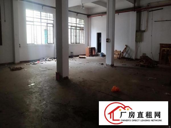  大朗长塘新出单一层钢构350平厂房可办环评交通便利易招工