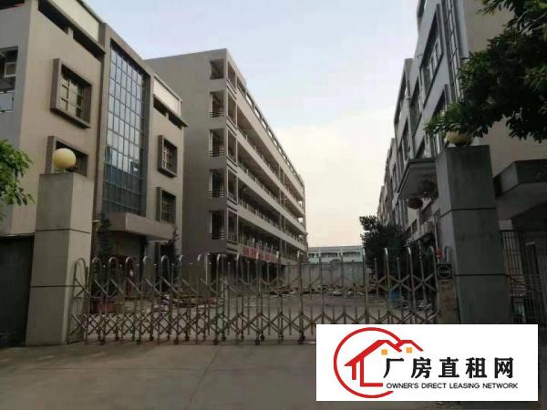  洋坑塘工业区一楼厂房1200平出租，高度6米，带现成办公室装