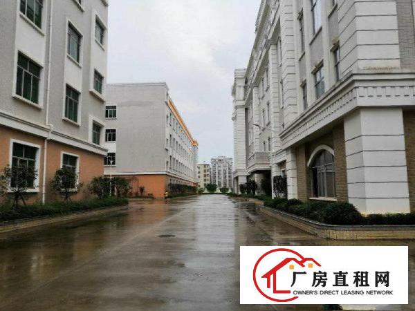  大朗镇洋乌工业区新出楼上700平方现成水电办公装修