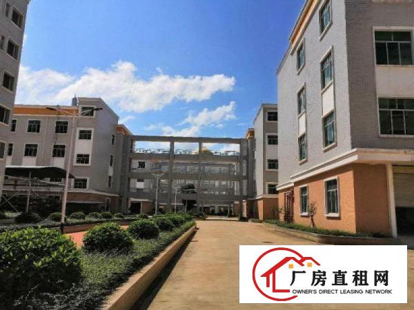  大朗镇洋乌工业区新出楼上700平方现成水电办公装修