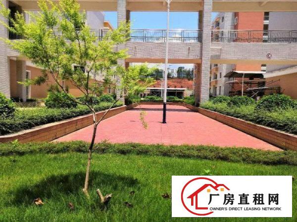  大朗镇洋乌工业区新出楼上700平方现成水电办公装修