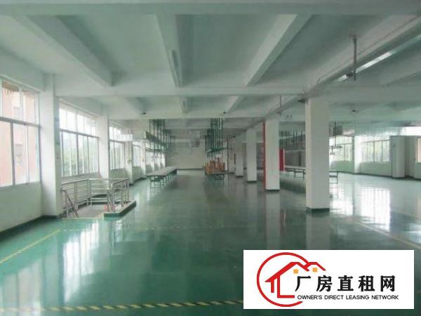  大朗镇洋乌工业区新出楼上700平方现成水电办公装修