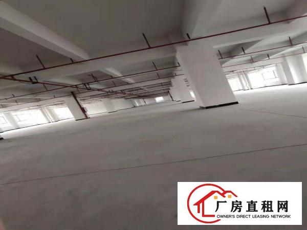  大朗汽车站旁楼上全新厂房3580平出租