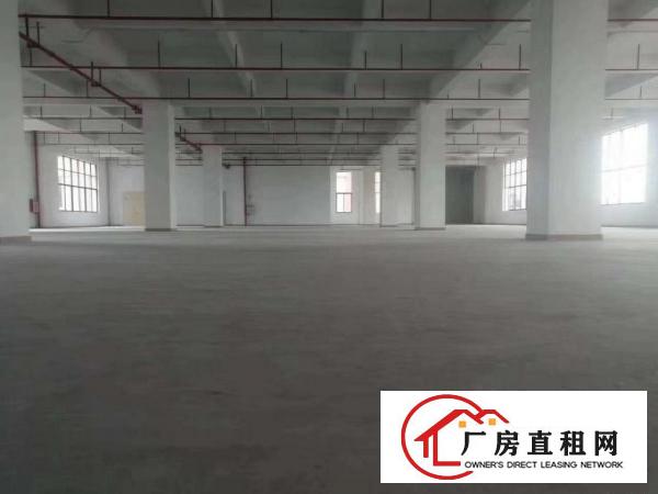  大朗新出空置厂房10000平，带消防喷淋，楼上高5.5米