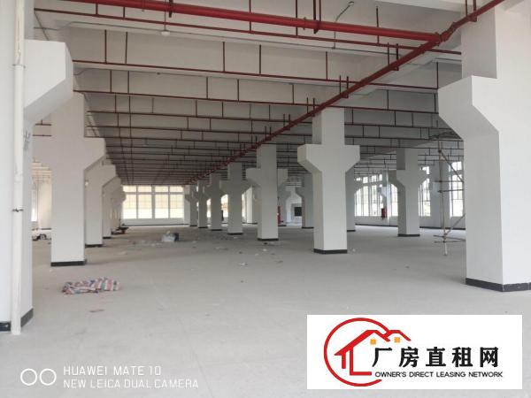  大朗象山新出独栋厂房单层面积3006平带牛角可分租
