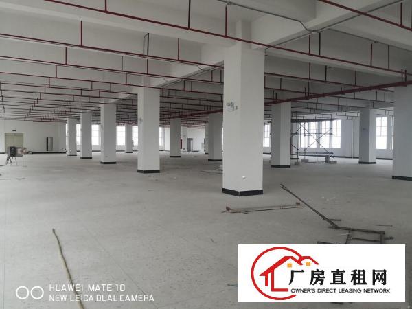  大朗象山新出独栋厂房单层面积3006平带牛角可分租