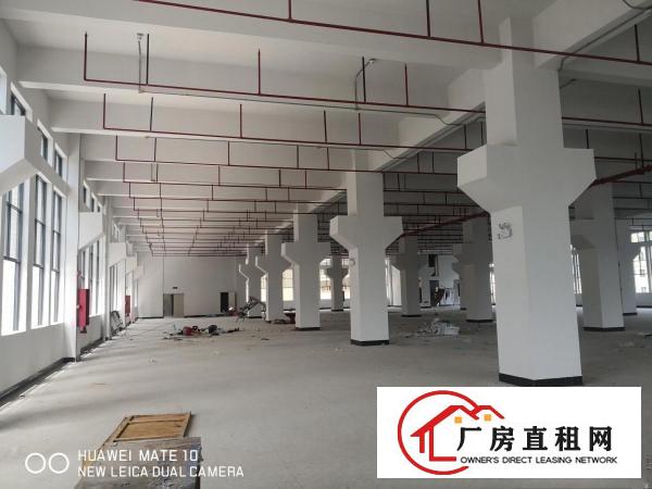  大朗象山新出独栋厂房单层面积3006平带牛角可分租