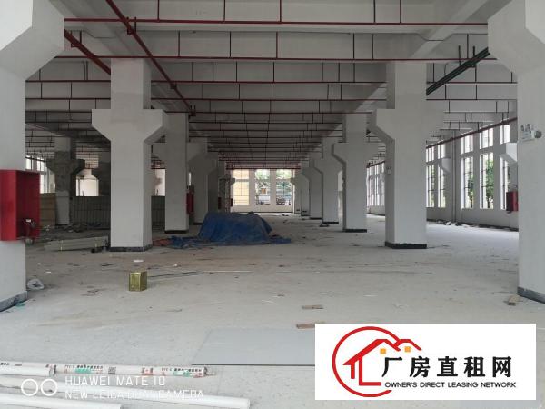  大朗象山新出独栋厂房单层面积3006平带牛角可分租