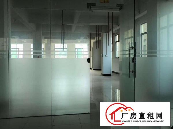  实图）每层600平，大朗石厦独栋厂房出租，带电梯，装修齐全