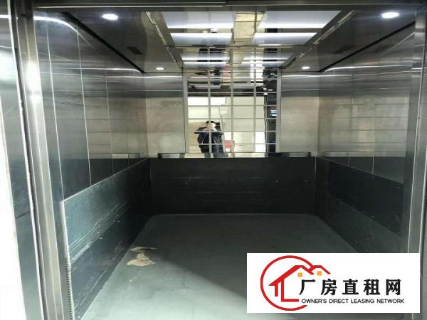  实图）每层600平，大朗石厦独栋厂房出租，带电梯，装修齐全