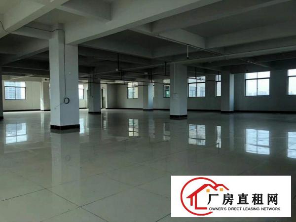  实图）每层600平，大朗石厦独栋厂房出租，带电梯，装修齐全