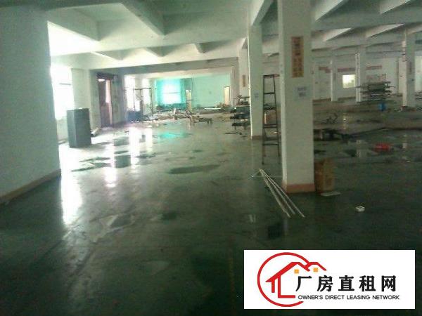  带豪华装修厂房招租）大朗镇中心新出楼上1350平