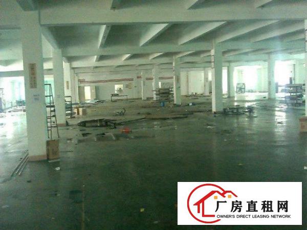  带豪华装修厂房招租）大朗镇中心新出楼上1350平