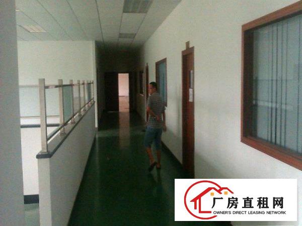  带豪华装修厂房招租）大朗镇中心新出楼上1350平
