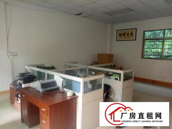  大朗新出超便宜钢构500平方，可接受压铸，家具等小污染行业
