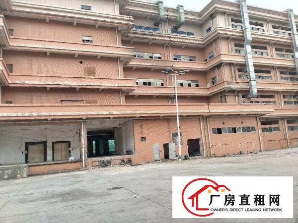  东莞大朗洋坑塘新空出30000平方厂房出租大小分租可办环保