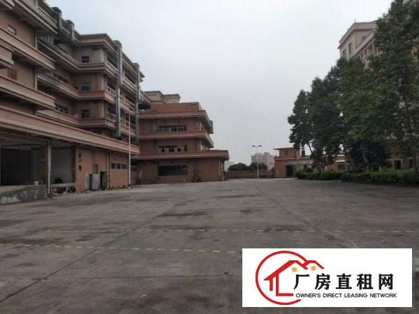  东莞大朗洋坑塘新空出30000平方厂房出租大小分租可办环保