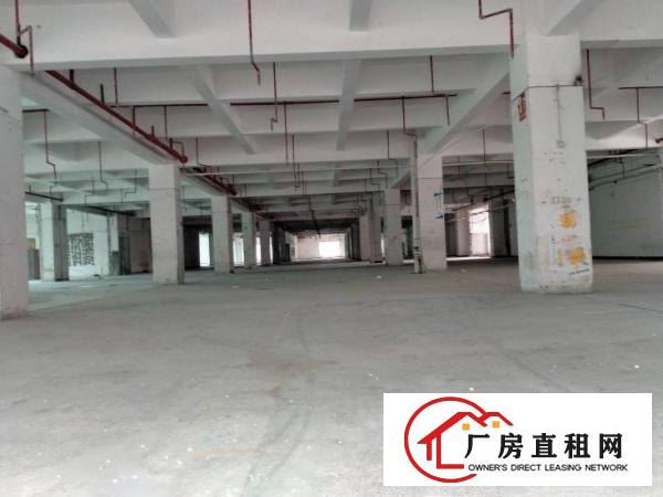  东莞大朗洋坑塘新空出30000平方厂房出租大小分租可办环保