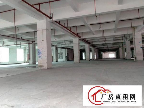  东莞大朗洋坑塘新空出30000平方厂房出租大小分租可办环保