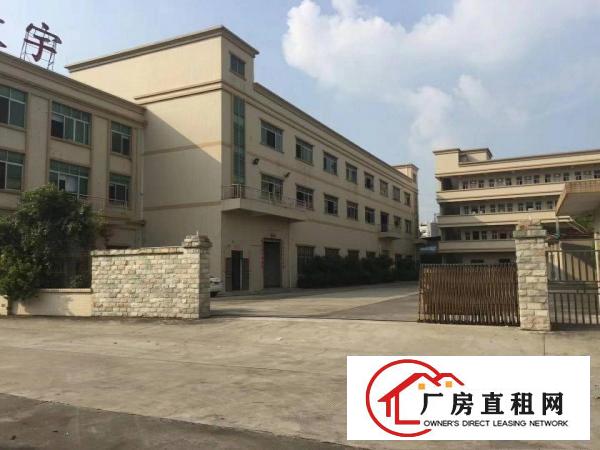  大朗原房东独院标准厂房7000平出租，地坪漆，消防喷淋，豪装