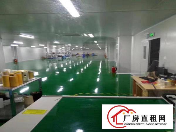  大朗原房东独院标准厂房7000平出租，地坪漆，消防喷淋，豪装