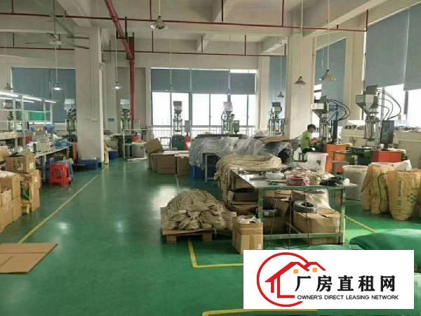  大朗原房东独院标准厂房7000平出租，地坪漆，消防喷淋，豪装